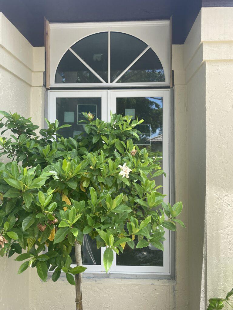 Best impact casement windows